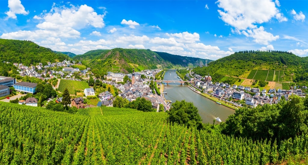Vineyards along the Mosel River Valley