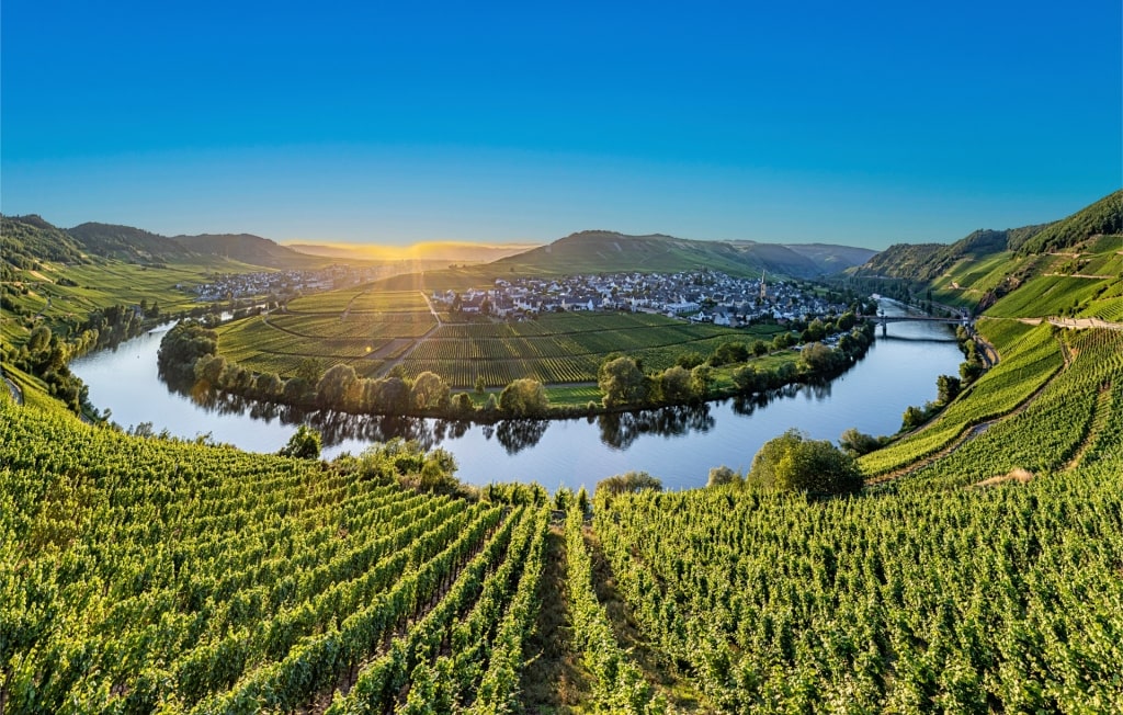 Moselle River with vineyard-covered valleys
