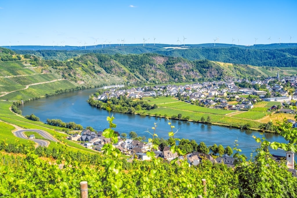 German wine region of Mosel