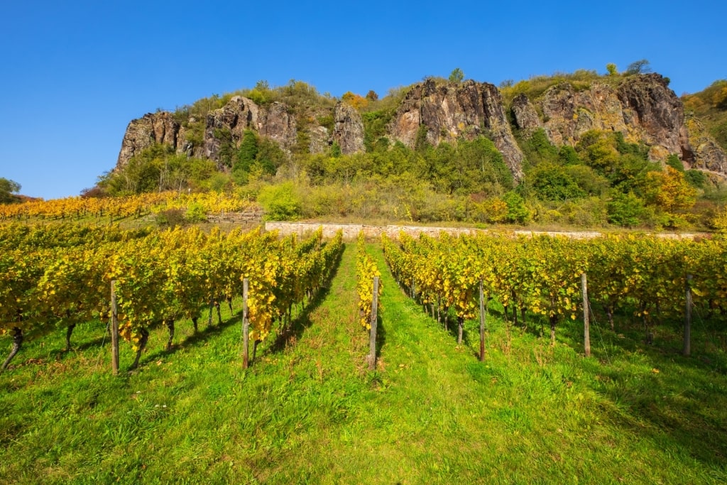 Vineyards in Nahe wine region