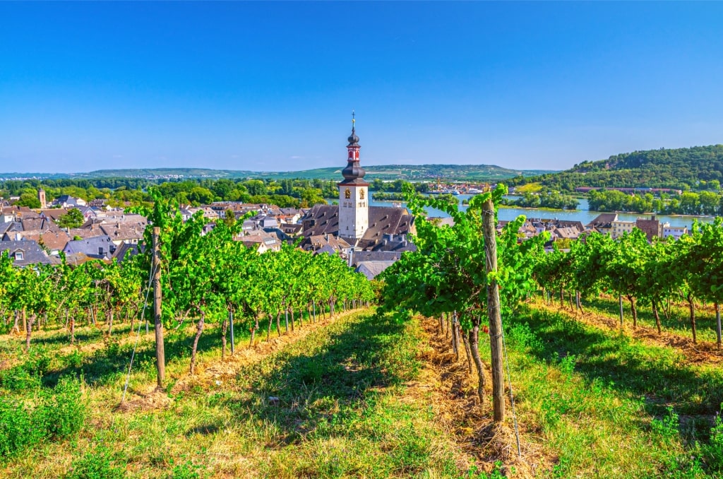 German wine region of Rheingau