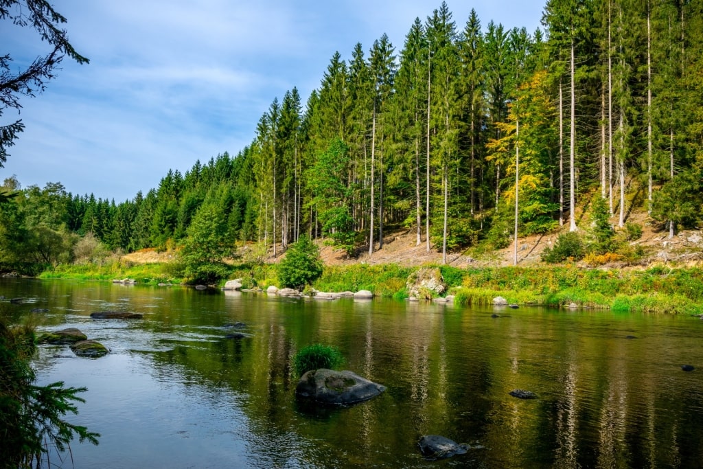Lush landscape of Bavarian Forest National Park, near Deggendorf/Passau