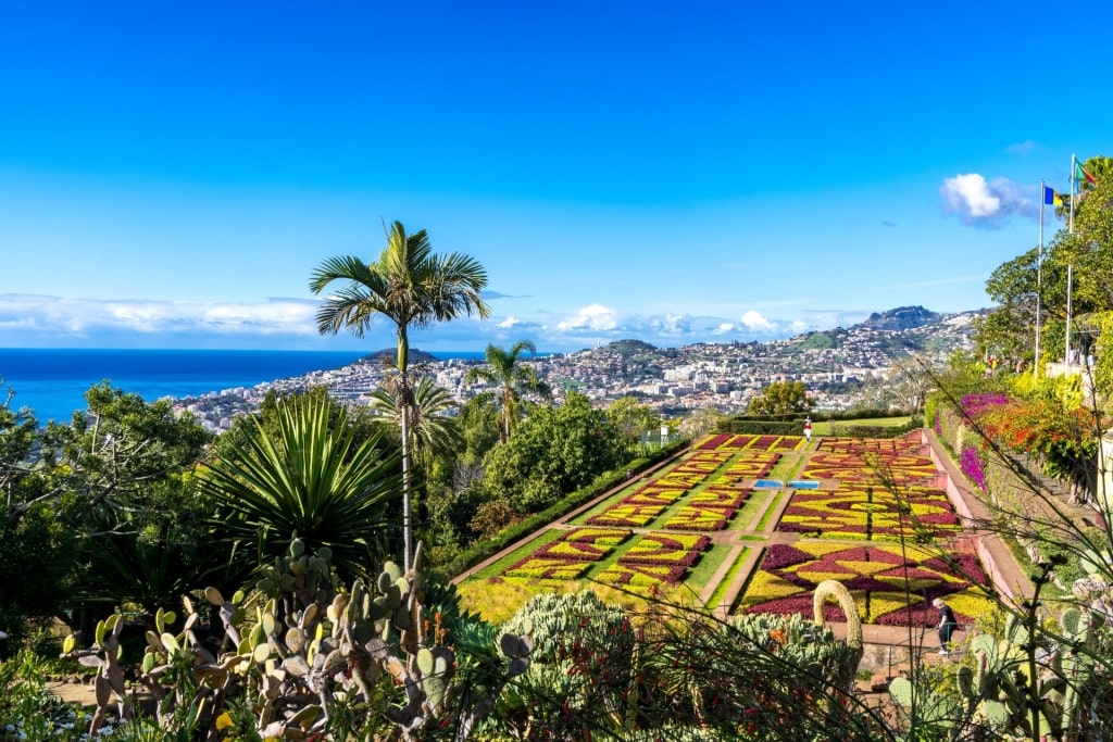 Tropical plants and landscaped gardens at the botanical garden in Funchal, Madeira