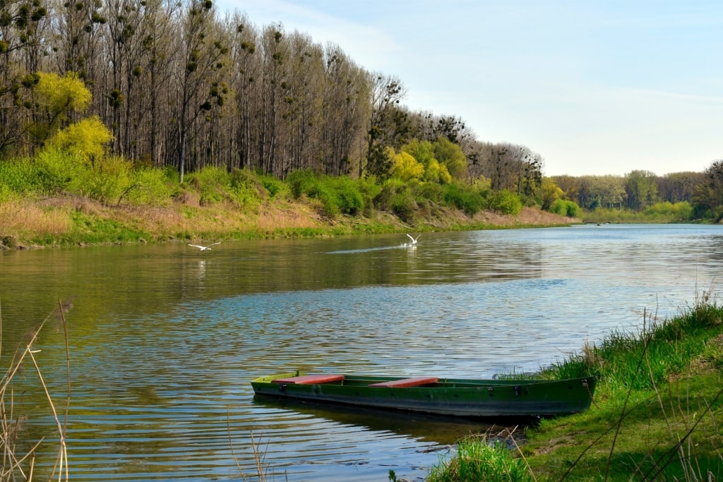 Quiet lake within Donau-Auen National Park
