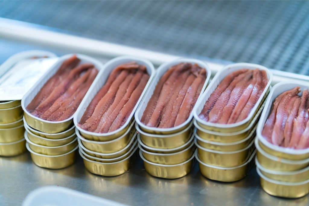 Gourmet canned fish in tins