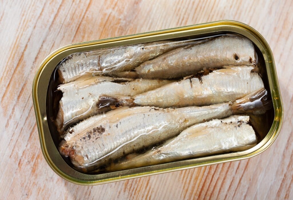 Open tin of sardines preserved in olive oil