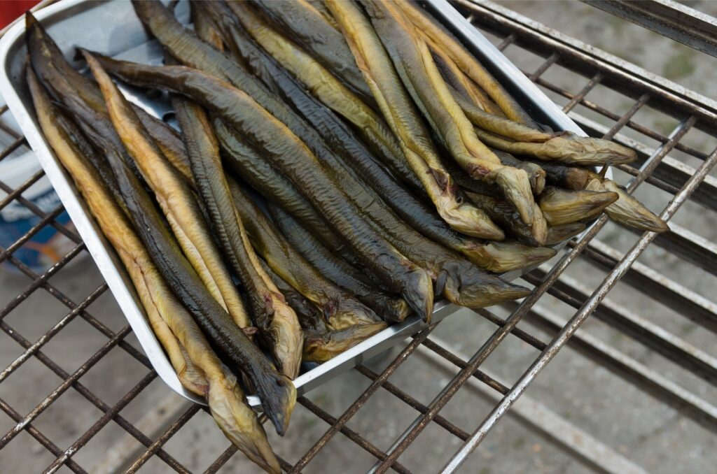 Fresh Dutch smoked eel specialty, gerookte paling