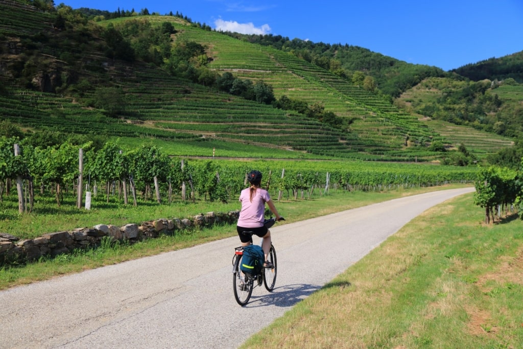 Woman biking along the Danube Cycle Path