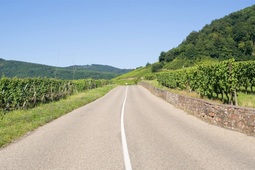 Road within Alsace Wine Route