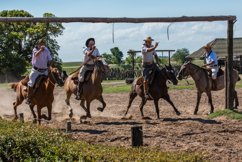 Argentina vs. Chile - Gaucho in Argentina