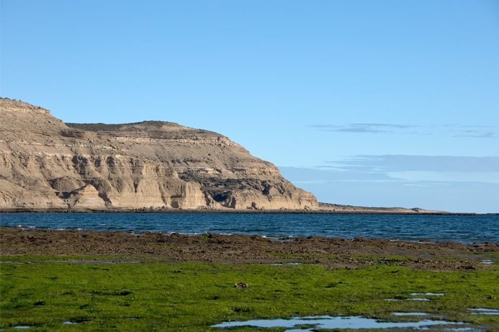 Coastal landscape of Peninsula Valdés, Argentina