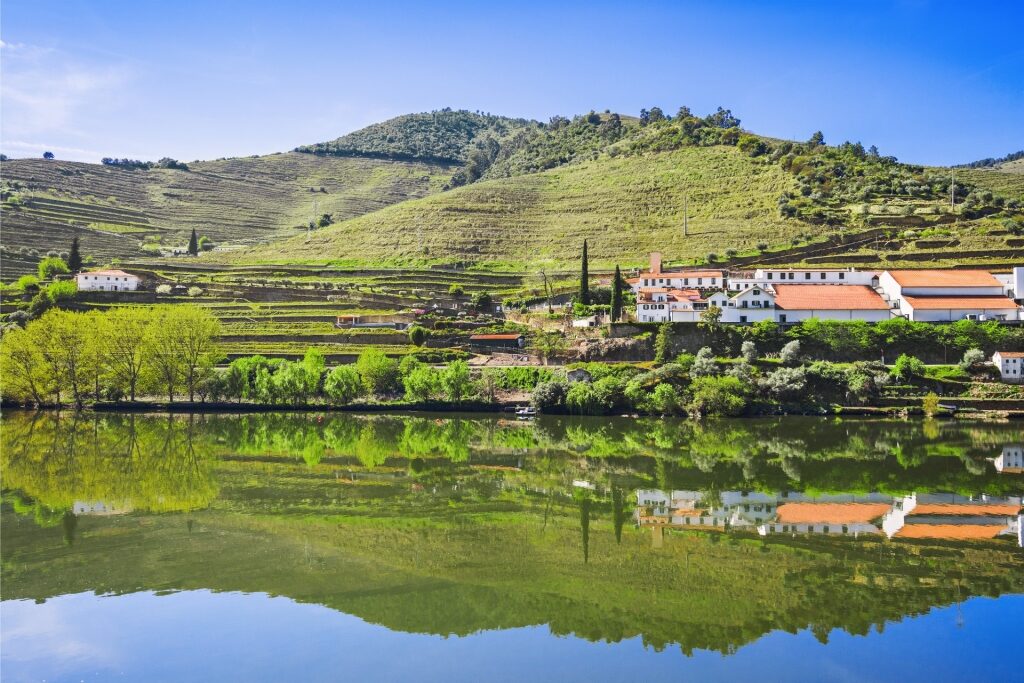 Scenic landscape of Portugal’s Douro Valley with river and vineyards