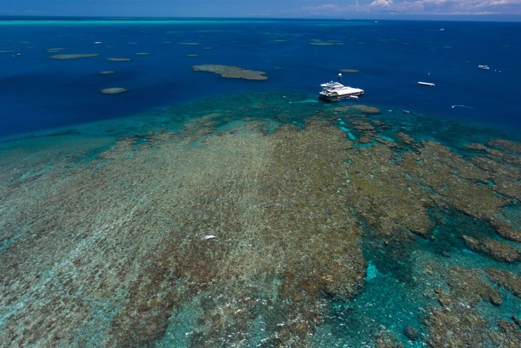 Aerial view of coral formations in the Great Barrier Reef, Australia