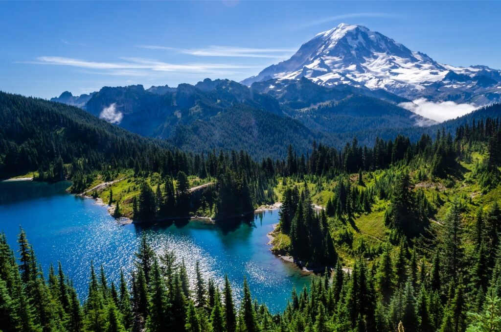 Panoramic landscape of Mount Rainier National Park with mountain and pine trees