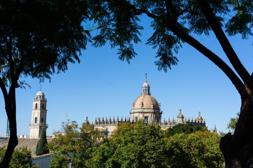 Historic cathedral and trees in Jerez de la Frontera, Spain