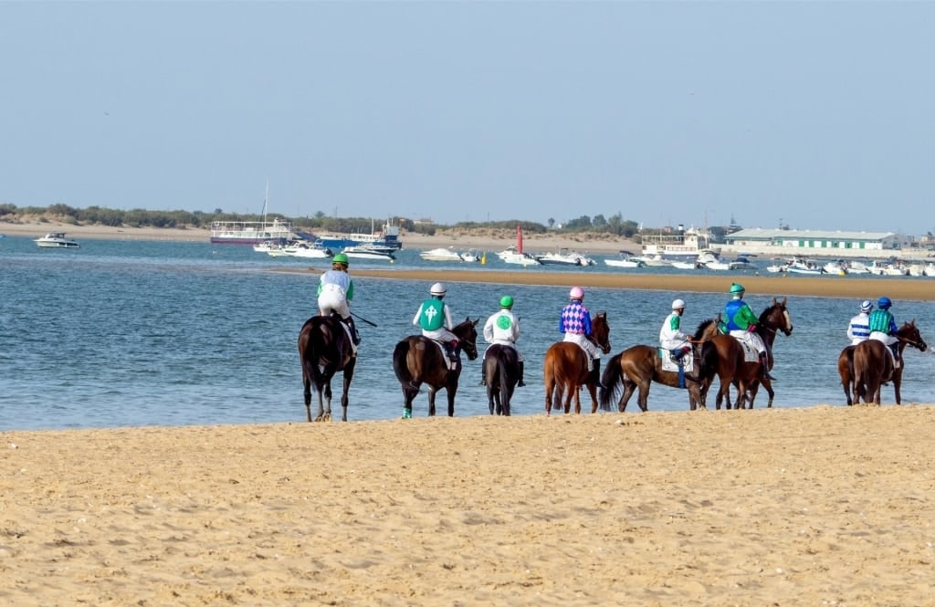 Horses racing along the beach in Sanlúcar de Barrameda, Spain