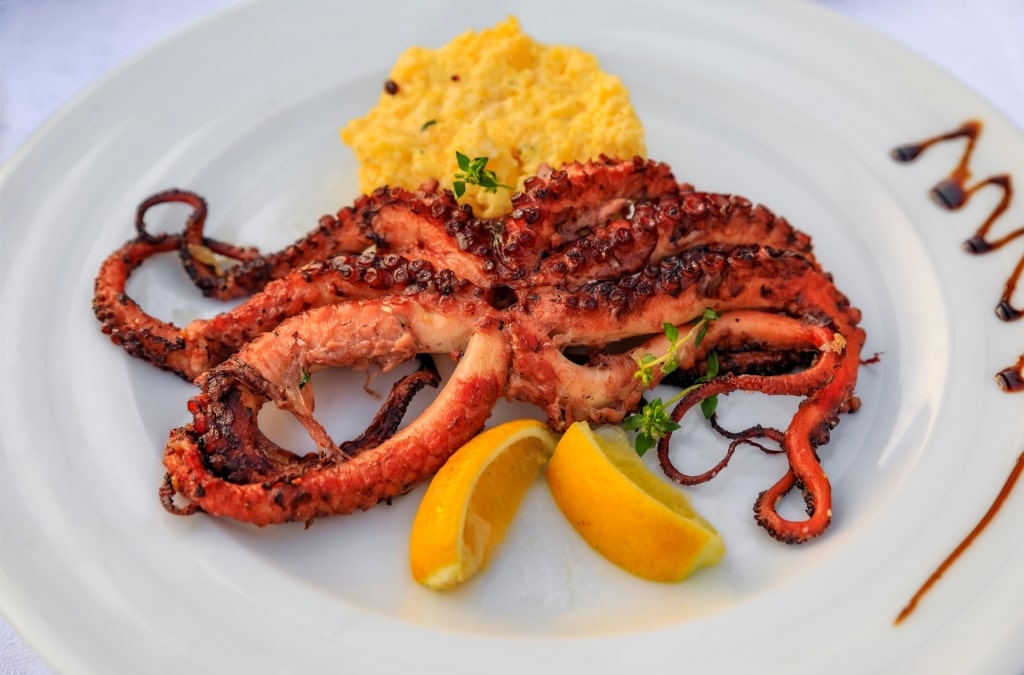 Chargrilled octopus served with lemon and herbs, food in Montenegro