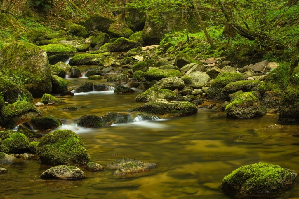 Scenic view of Stillensteinklamm gorge with flowing river and rocks in Austria