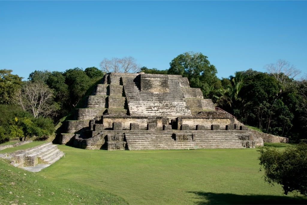 Lush greenery surrounding Altun Ha Mayan Ruins
