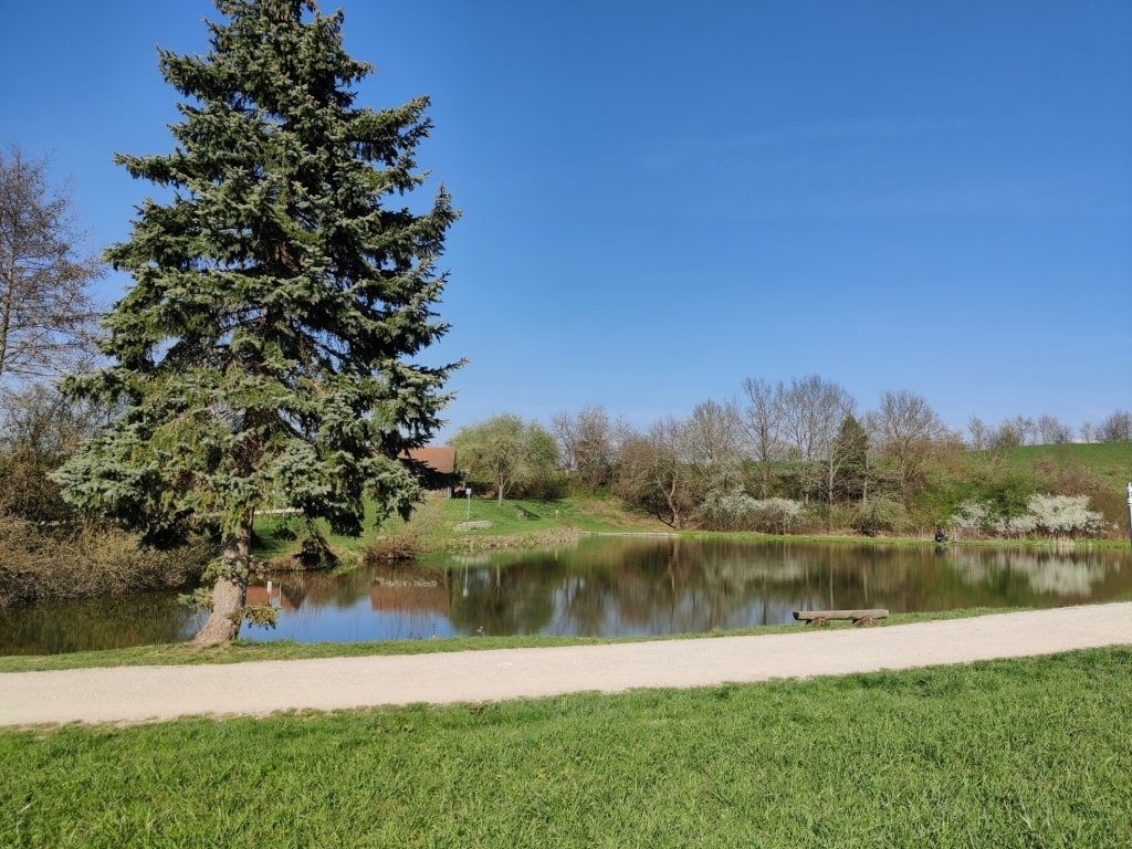 Scenic view of Stadtpark Nuremberg with trees and walking path