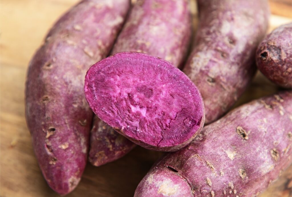 Close-up of vibrant purple Beni Imo sweet potato