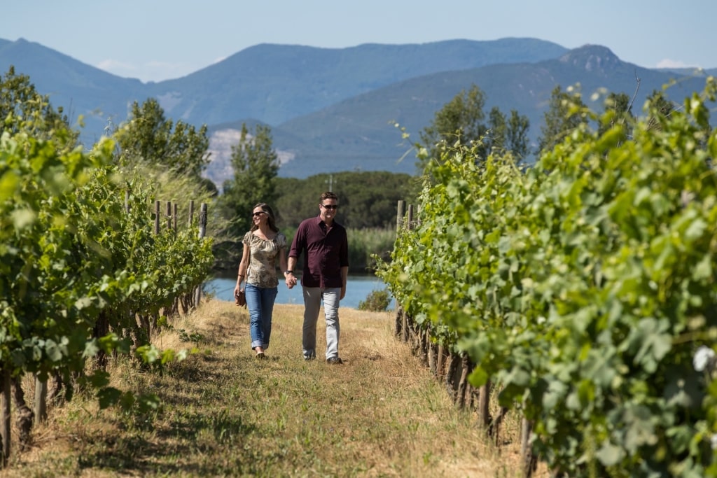 Couple enjoying a scenic vineyard walk in Tuscany