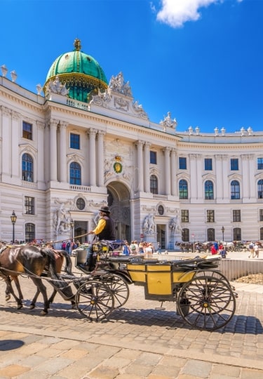 Historic Hofburg Palace in Vienna with horse-drawn carriage in front