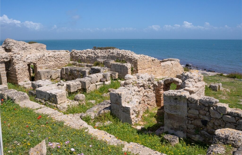 Historic ruins of the Ancient City of Tharros