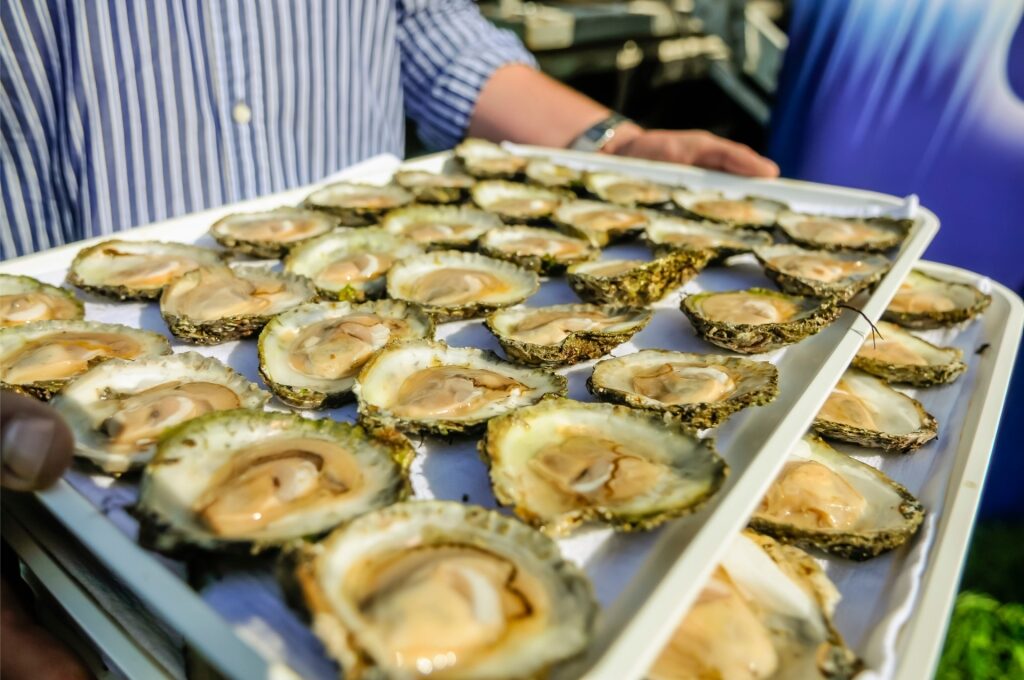 What to eat in Ireland - Oysters