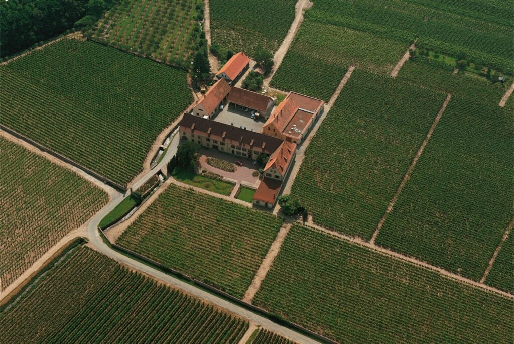 Top view of Domaine Weinbach vineyards in Alsace, France