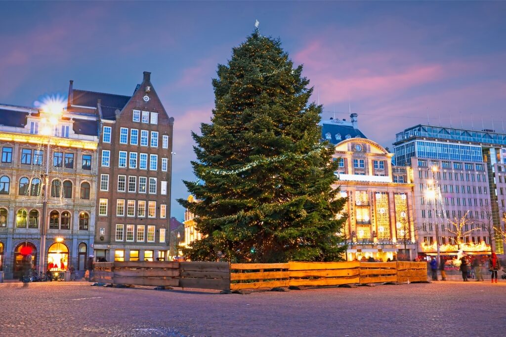 View of Dam Square, Amsterdam in December with Christmas tree