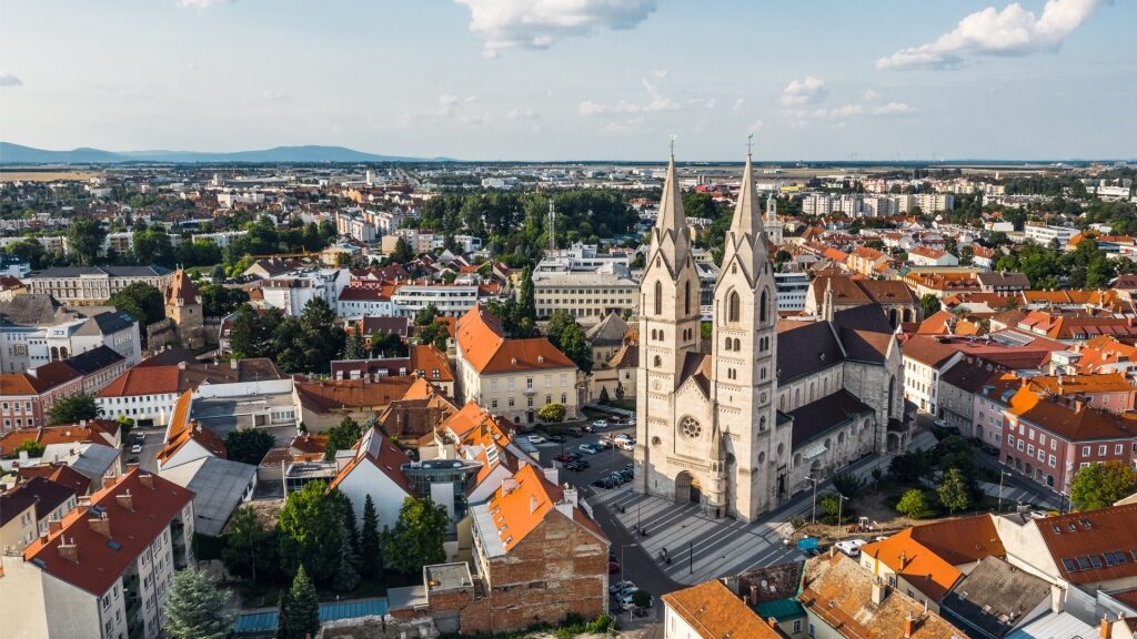 Wiener Neustadt Cathedral with surrounding cityscape in Lower Austria