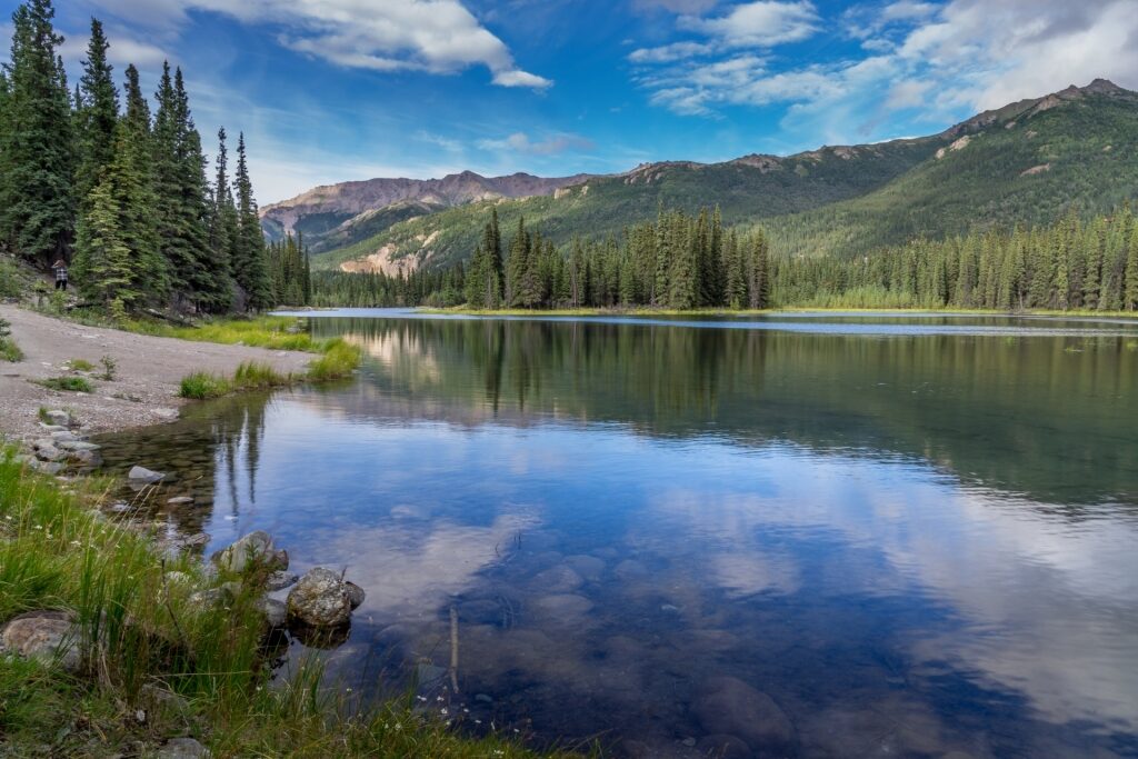 Scenic view of Horseshoe Lake in Denali National Park