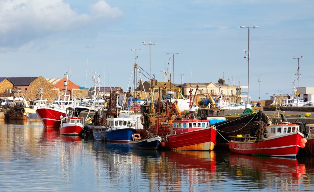 Colorful fishing boats moored at Howth Harbor