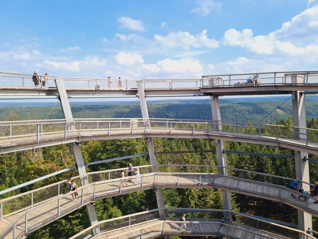 Scenic view of the Baumwipfelpfad Schwarzwald treetop walkway in the Black Forest, Germany