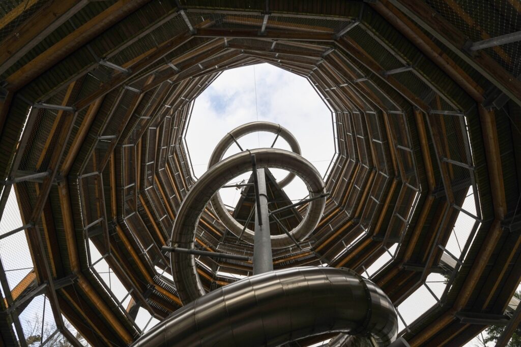 Perspective from ground level showing the Black Forest slide at Baumwipfelpfad