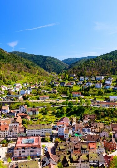 Aerial view of the Black Forest region showing railway tracks winding past houses and trees