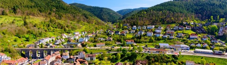 Aerial view of the Black Forest region showing railway tracks winding past houses and trees