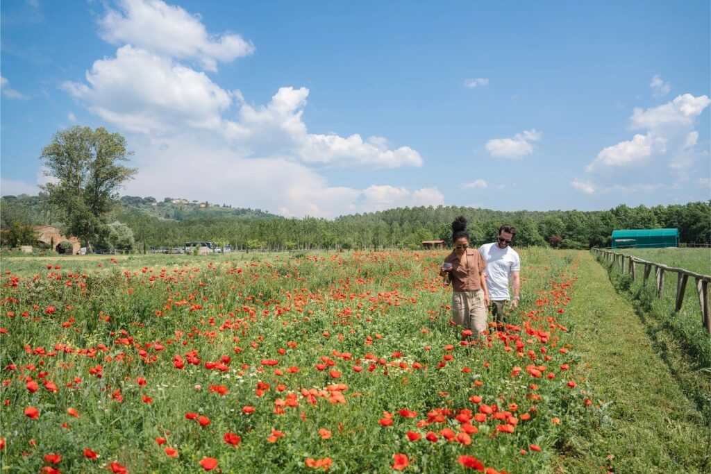 Happy tourists exploring a picturesque field in Tuscany, Italy
