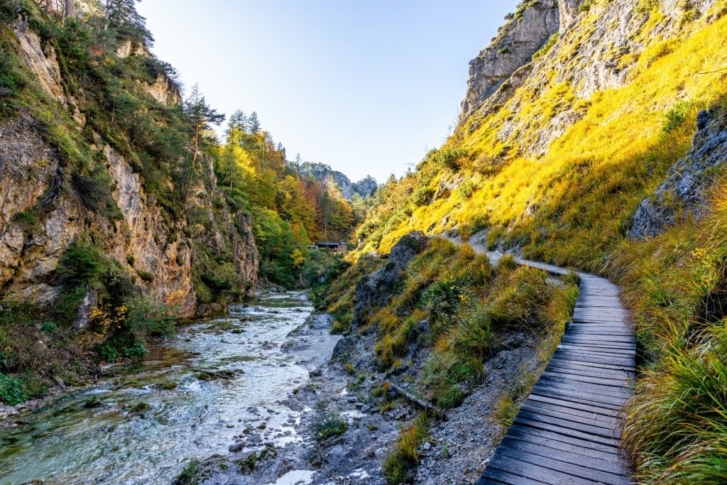 Wooden trail above stream in Ötschergräben gorge
