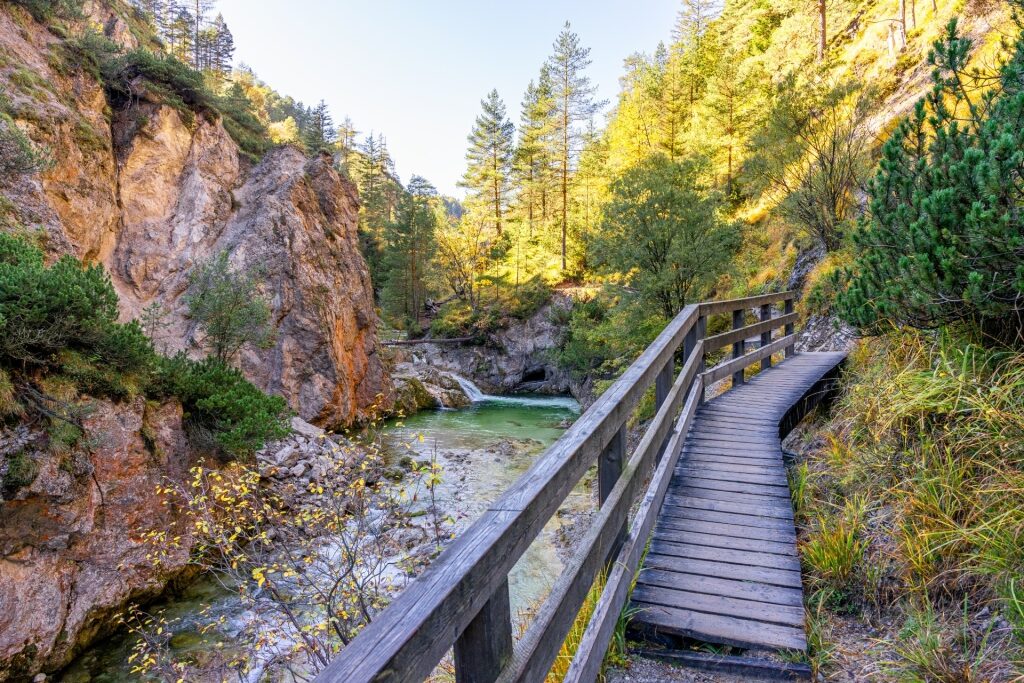 Nature view during Ötschergräben hiking in Austria 