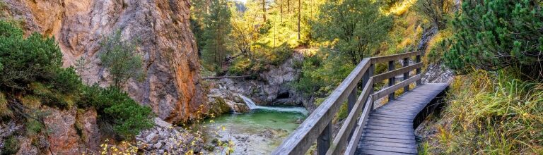 Nature view of Ötschergräben while hiking in Austria
