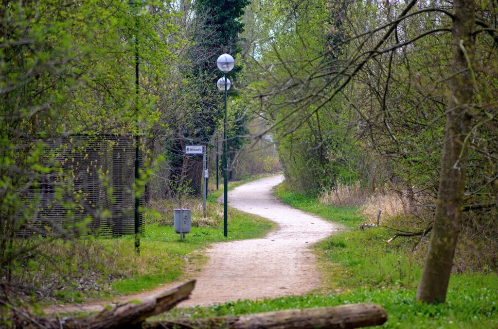 Tranquil walking route through a forest area in Tulln