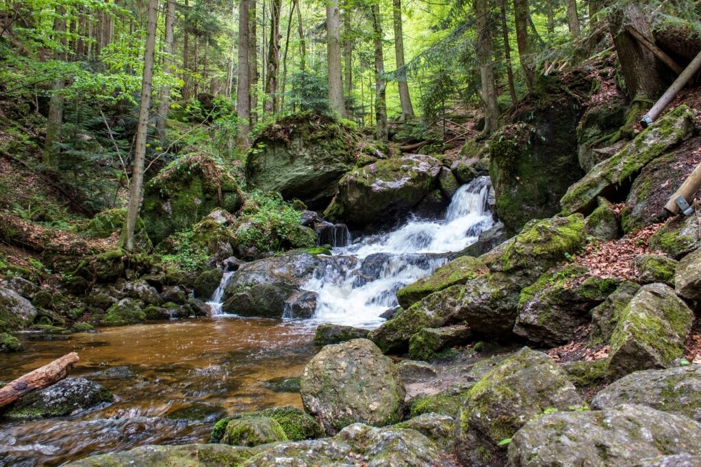 Rushing water flowing through the mossy rocks of Ysperklamm Gorge
