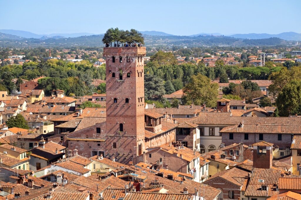 Historic Torre Guinigi in Lucca, Italy with trees growing on its rooftop
