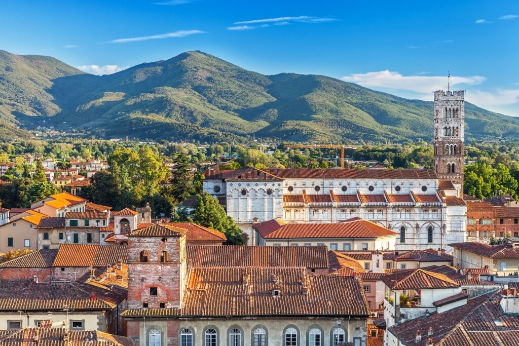Colorful rooftops of Lucca with scenic Tuscan mountain range behind the city