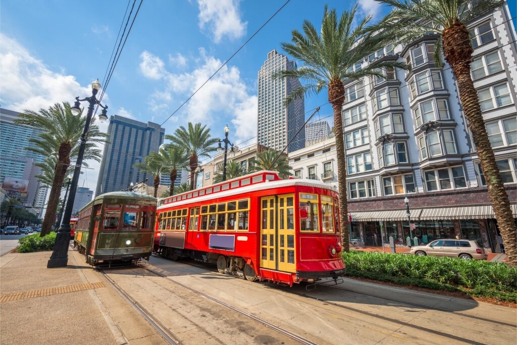 Canal Street in New Orleans with historic trolley cars and palm trees lining the street