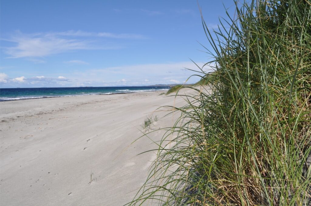 View of sandy beach in Jæren, Norway