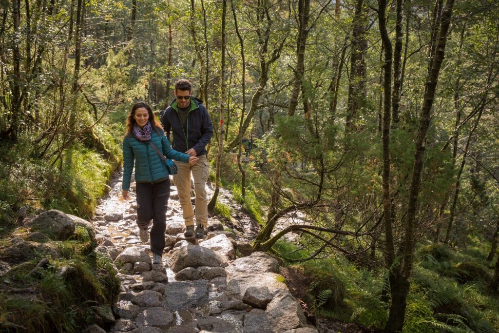 Couple trekking along a rocky trail leading toward Pulpit Rock in Norway