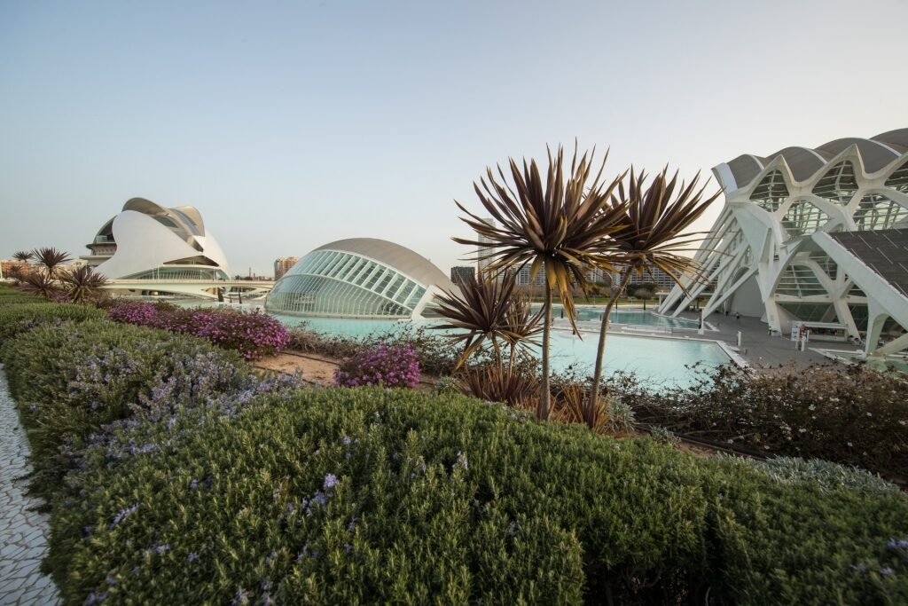 City of Arts and Sciences, a stunning architectural complex in Valencia